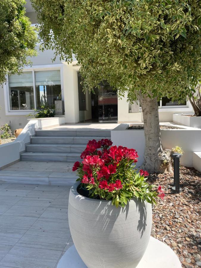 Ninemia Beach Resort Agia Marina Exterior foto